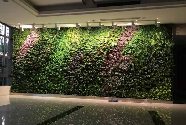 城帮园林集团植物墙