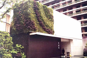 和达御观邸植物墙