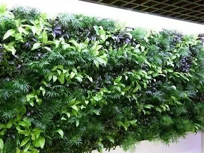 文章附图