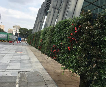 宁波索菲特大酒店植物墙,9月30日完成,100平方米